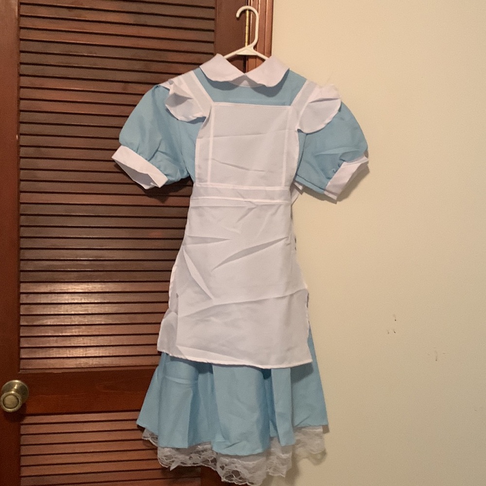 Alice in Wonderland costume-brand new